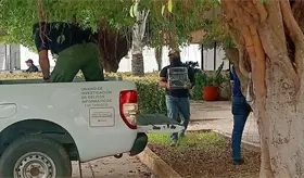 Incautan equipos de c&oacute;mputo y documentaci&oacute;n de la Uni&oacute;n de Cr&eacute;dito Ganadero