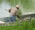 Se registra nueva mortandad de peces en la Laguna de las Ilusiones a la altura de la Magisterial