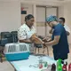 Esterilizan a m&aacute;s de 50 perros y gatos en primera jornada de salud animal del PRI Tabasco