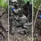 Captan a presuntos miembros de c&aacute;rteles mexicanos participando en guerra entre Ucrania y Rusia