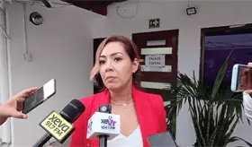 Proceso electoral podr&iacute;a desarrollarse con persona encargada de la Secretar&iacute;a Ejecutiva: Elizabeth Nava