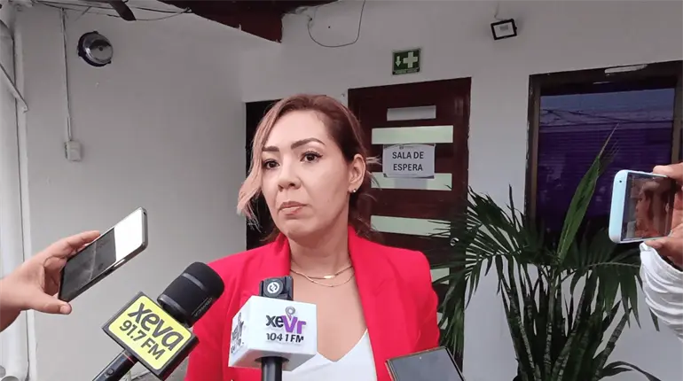 Proceso electoral podr&iacute;a desarrollarse con persona encargada de la Secretar&iacute;a Ejecutiva: Elizabeth Nava