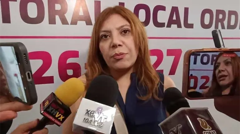 Reporta INE al menos seis denuncias por actos anticipados de campa&ntilde;a en el distrito 06 de Centro