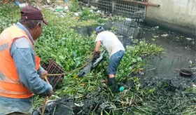 Reporta Centro recolecci&oacute;n de m&aacute;s de 290 toneladas de basura durante septiembre