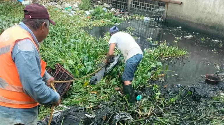 Reporta Centro recolecci&oacute;n de m&aacute;s de 290 toneladas de basura durante septiembre