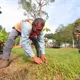Siembra Ayuntamiento de Centro 500 guayacanes y macuil&iacute;es en espacios p&uacute;blicos como parte de la Jornada de Reforestaci&oacute;n