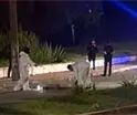 Muere una persona atropellada anoche en el perif&eacute;rico de Villahermosa