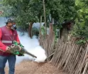 Inician acciones conjuntas entre Tabasco, Chiapas y Veracruz para prevenir casos importados de dengue