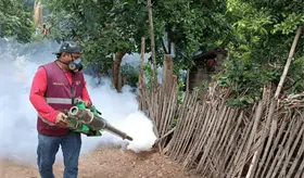Inician acciones conjuntas entre Tabasco, Chiapas y Veracruz para prevenir casos importados de dengue