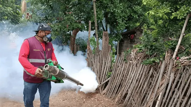 Inician acciones conjuntas entre Tabasco, Chiapas y Veracruz para prevenir casos importados de dengue