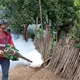 Alertan investigadoras de la UJAT sobre riesgo de escasez de las tortugas en Tabasco