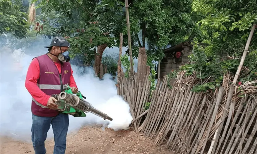 Inician acciones conjuntas entre Tabasco, Chiapas y Veracruz para prevenir casos importados de dengue