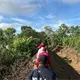 Supervisa edil de Jalapa trabajos de construcci&oacute;n y rehabilitaci&oacute;n de bordo de contenci&oacute;n en el r&iacute;o La Sierra