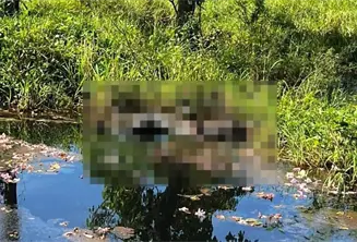 Localizan persona en descomposici&oacute;n en rancher&iacute;a de Teapa