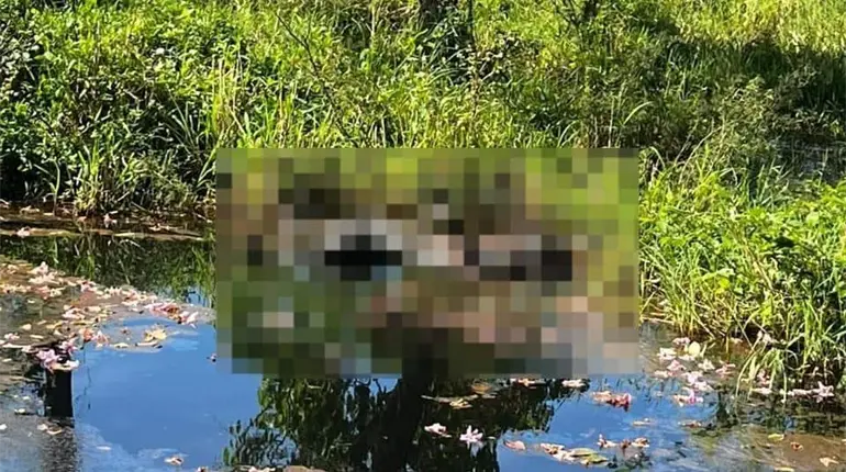 Localizan persona en descomposici&oacute;n en rancher&iacute;a de Teapa