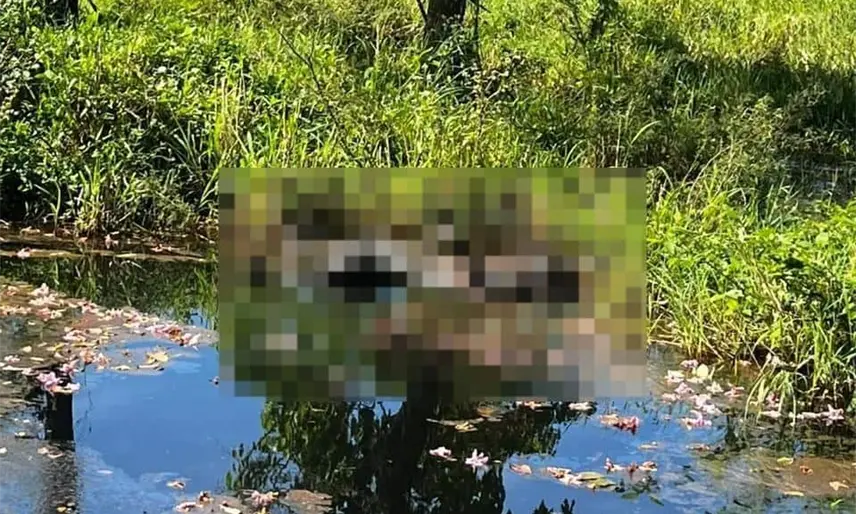Localizan persona en descomposición en ranchería de Teapa