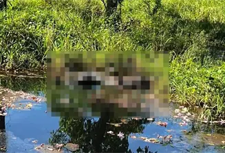 Hallan persona en descomposici&oacute;n en Teapa y restos humanos en Centro