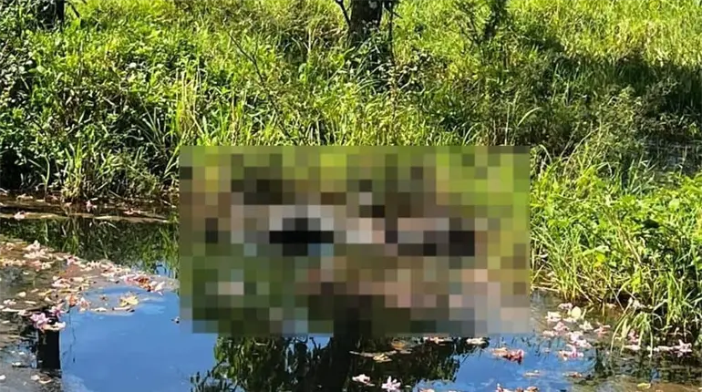 Hallan persona en descomposici&oacute;n en Teapa y restos humanos en Centro