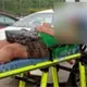 Fallece jefe de giras y log&iacute;stica del DIF Tabasco tras ser atropellado en plaza comercial