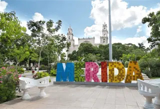 Detectan ameba "comecerebros" en 6 lagos artificiales de M&eacute;rida