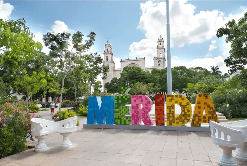 Detectan en Mérida ameba comecerebros Detectan en Mérida ameba comecerebros