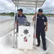 Grava suelta provoca ola de volcaduras en la carretera Minatitl&aacute;n–Coatzacoalcos