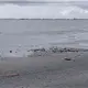 Oleaje provoca da&ntilde;os cerca de la caseta de cobro de Ciudad del Carmen