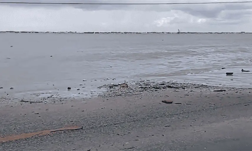 Oleaje provoca daños cerca de la caseta de cobro de Ciudad del Carmen