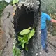 Descarta Gobierno riesgo de inundaciones en Tabasco similares a 2007 y 2020
