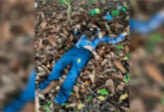 Lo hallan sin vida en camino de terracer&iacute;a de Jalpa