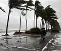 Lluvias dejan 1,457 personas y 229 viviendas afectadas en zonas costeras de Tabasco: PC
