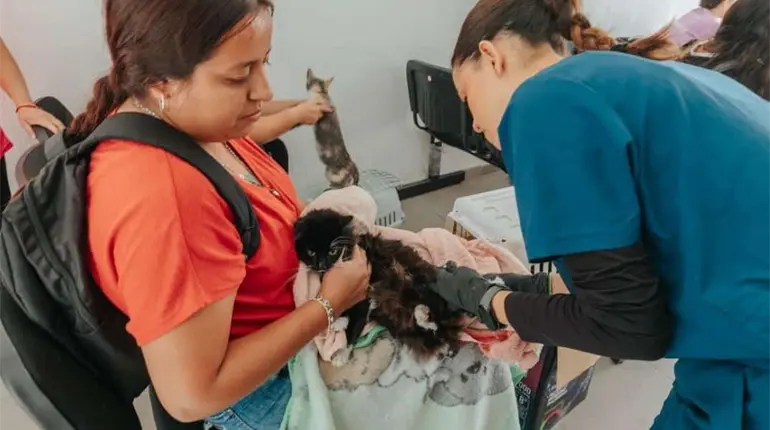 Centro realizar&aacute; hoy campa&ntilde;a gratuita de vacunaci&oacute;n antirr&aacute;bica para mascotas en la Col. Nueva Villahermosa