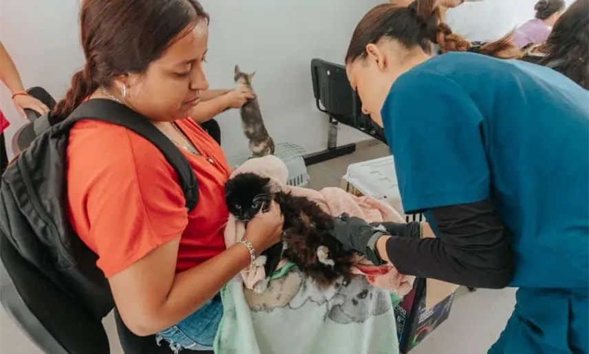 Centro realizará hoy campaña gratuita de vacunación antirrábica para mascotas en la Col. Nueva Villahermosa