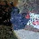 Captan en video robo en torter&iacute;a de Villahermosa