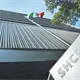 Inicia la migraci&oacute;n de mariposas monarca hacia M&eacute;xico