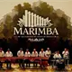 &iexcl;Tradici&oacute;n y m&uacute;sica! Serendipia alista concierto especial previo al D&iacute;a de Muertos
