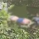 Hallan cuerpo sin vida de una mujer flotando en arroyo de Nacajuca