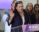 Taddei debe "responder por su conducta" tras pol&eacute;mica con contratista, sin manchar al INE: Observatorio Electoral