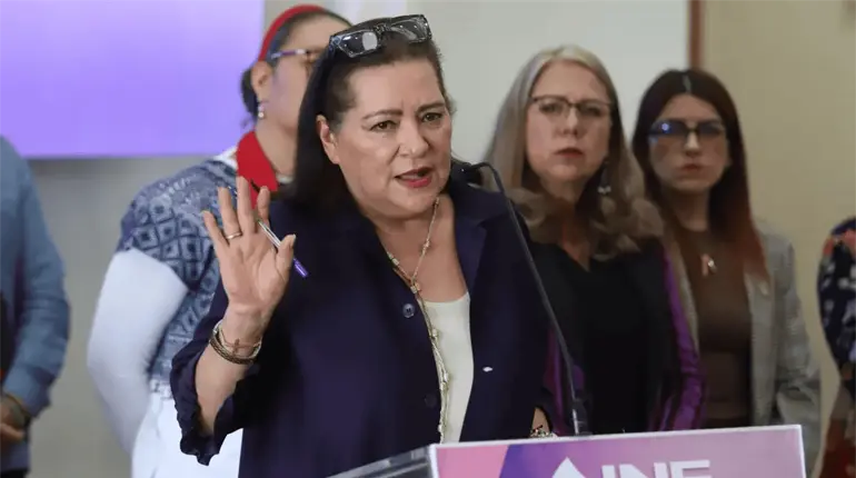 Taddei debe "responder por su conducta" tras pol&eacute;mica con contratista, sin manchar al INE: Observatorio Electoral