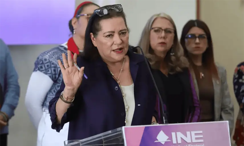 Taddei debe "responder por su conducta" tras polémica con contratista, sin manchar al INE: Observatorio Electoral