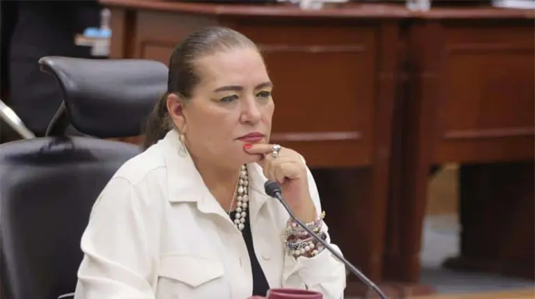Senador de Morena anuncia que presentar&aacute; punto de acuerdo para "valorar qu&eacute; medidas" tomar&aacute;n sobre el caso Taddei