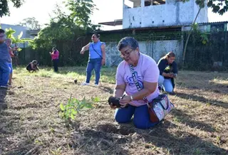 Cambio clim&aacute;tico erosiona las costas de Tabasco, advierten en jornada de reforestaci&oacute;n en Centro