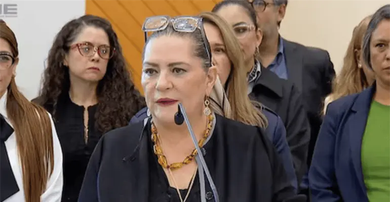 Taddei renuncia al INE; su salida no detendr&aacute; las investigaciones