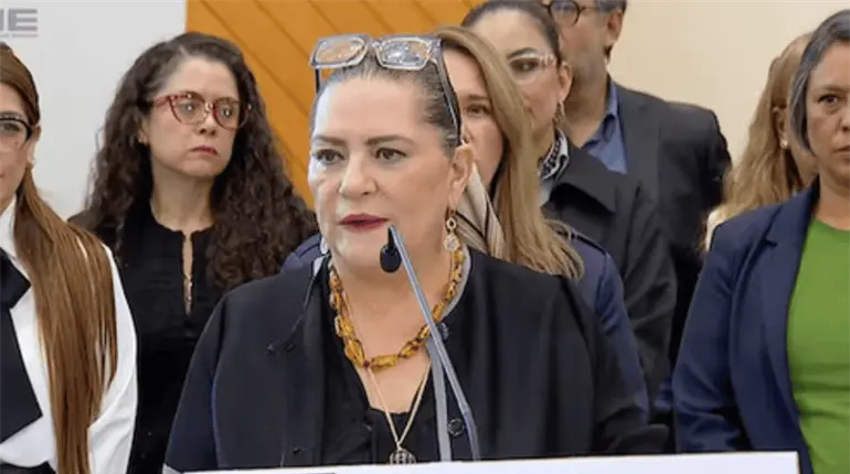 Taddei presenta su renuncia al INE; su salida no detendr&aacute; las investigaciones