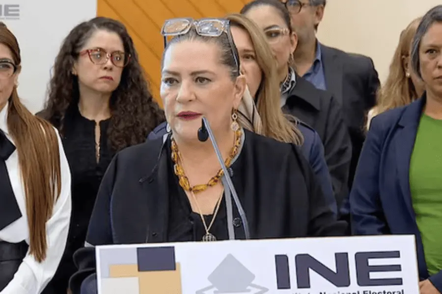 Taddei renuncia al INE; su salida no detendr&aacute; las investigaciones
