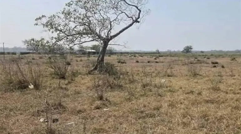 Reporta SADER alrededor de 2 mil hect&aacute;reas afectadas por la sequ&iacute;a este 2026 en Tabasco