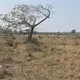 Presentan MC amparo por olor a hidrocarburo en la sierra tabasque&ntilde;a
