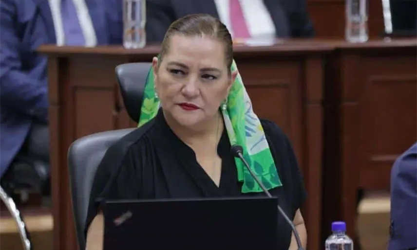 Renuncia de Taddei al INE es ejemplo de que ningún servidor está por encima de la ley: Morena Tabasco