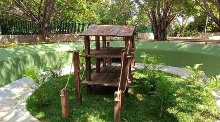 Reabren zool&oacute;gico del Parque Museo La Venta sin regreso de animales en &aacute;reas rehabilitadas