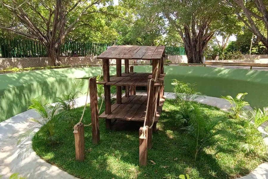 Reabren zoológico del Parque Museo La Venta sin regreso de animales en áreas rehabilitadas